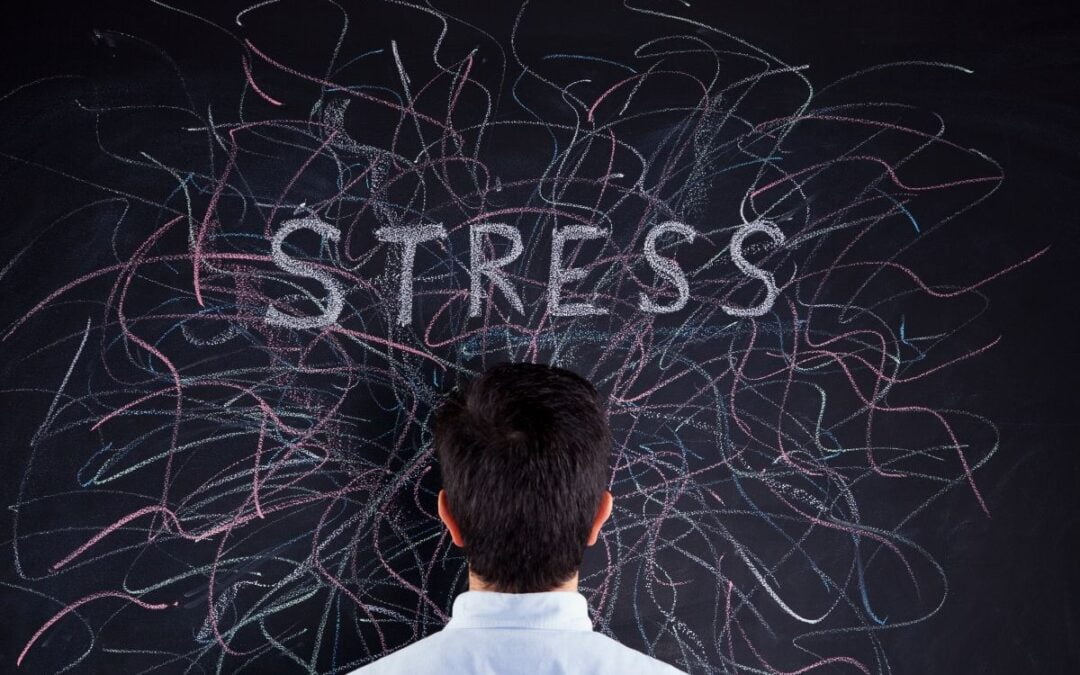 How Does Stress Affect Your Diet?